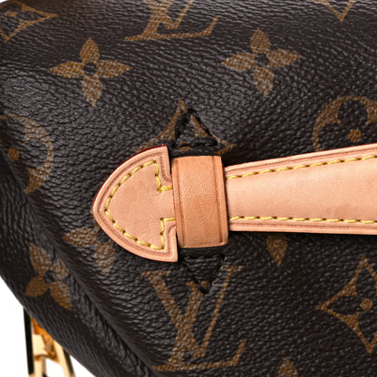 Louis Vuitton Monogram Bumbag 13 of 18