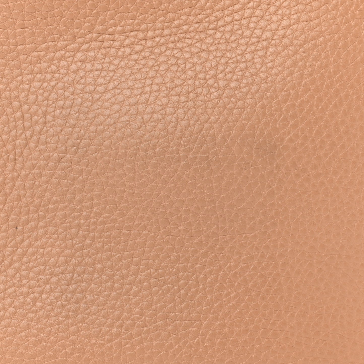 Pebbled Calfskin Small Soho Disco Bag Camelia
