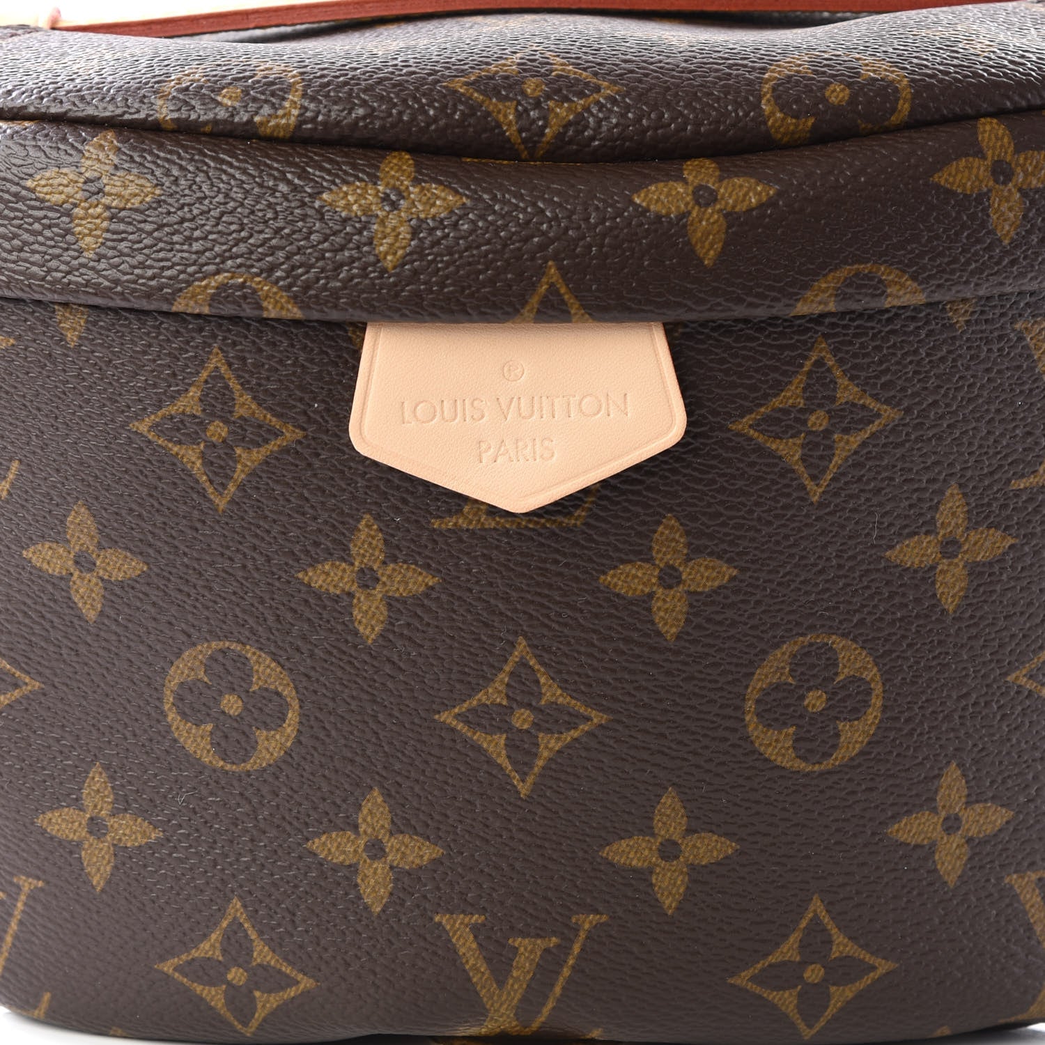 Louis Vuitton Monogram Bumbag 8 of 8