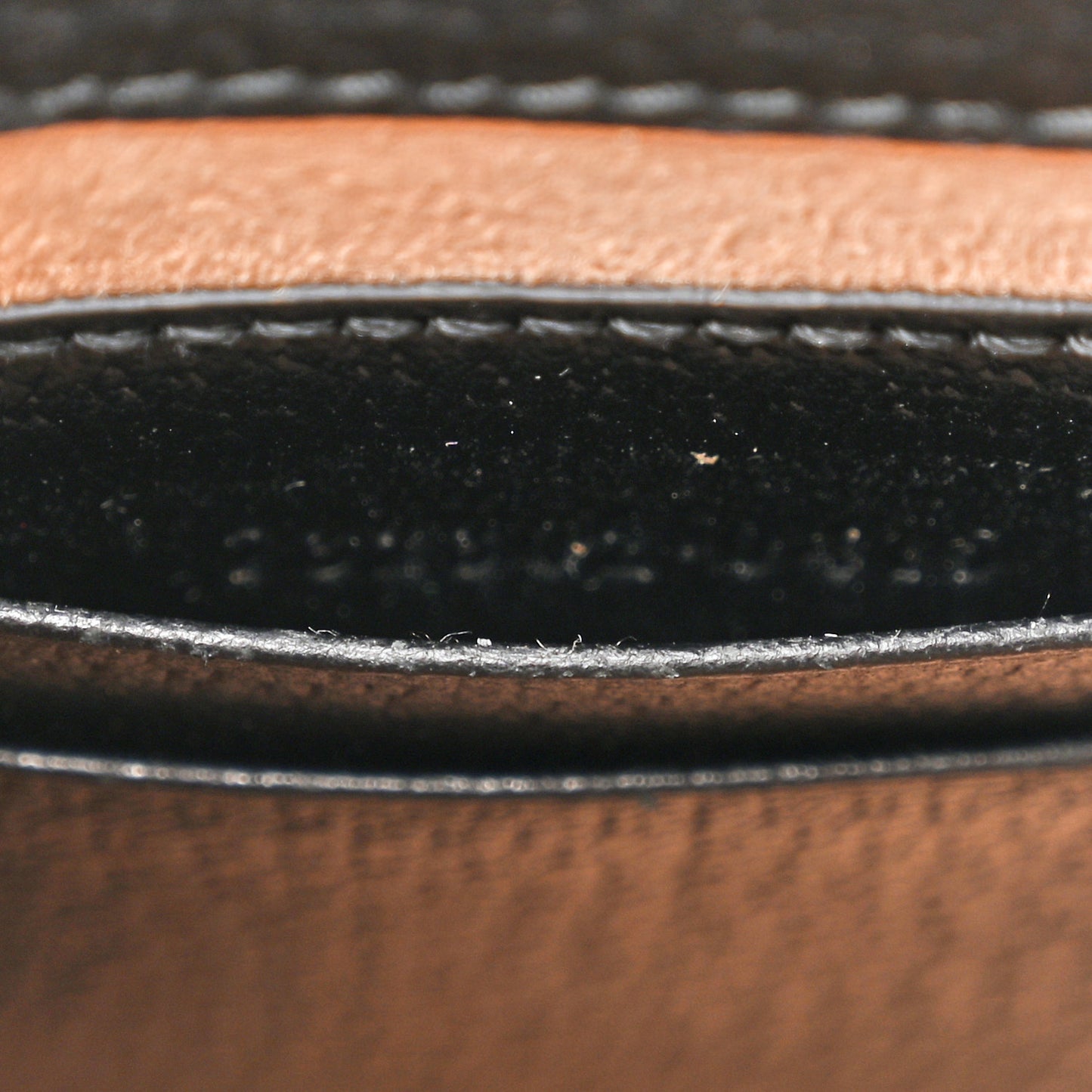 Dollar Calfskin Vertical Horsebit 1955 Crossbody Bag Black
