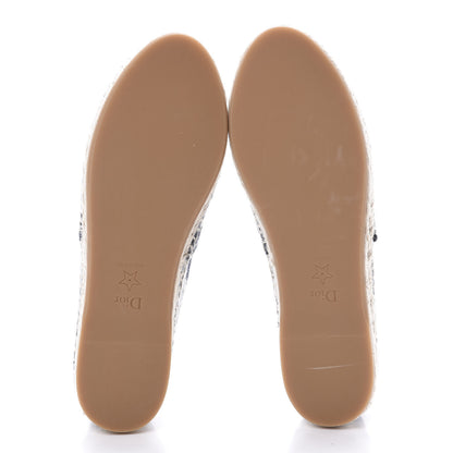 Christian Dior Canvas Tie and Dior Embroidered Granville 15mm Espadrilles 37.5 Denim 5 of 8