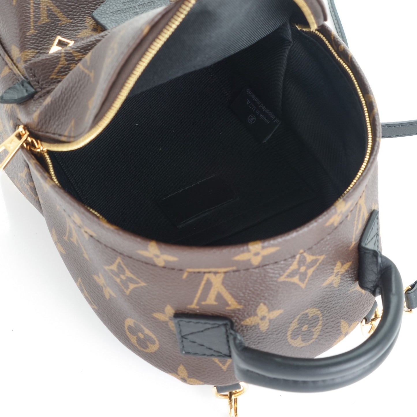 Monogram Palm Springs Backpack Mini