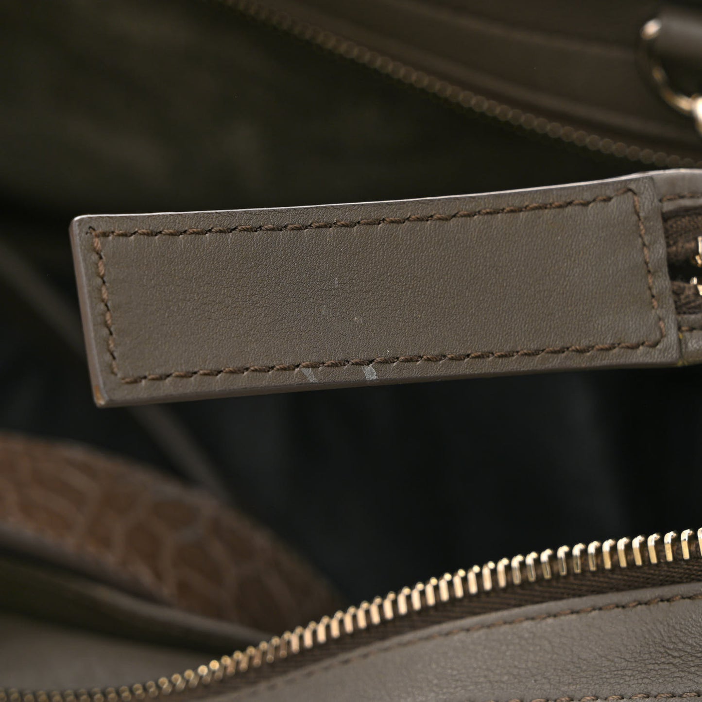 Calfskin Crocodile Embossed Small Monogram Downtown Cabas Earth
