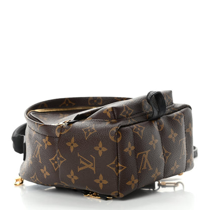 Louis Vuitton Monogram Palm Springs Backpack Mini 3 of 4