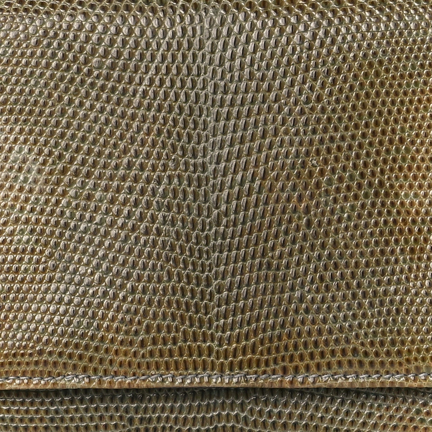 Lizard Continental Wallet Multicolor