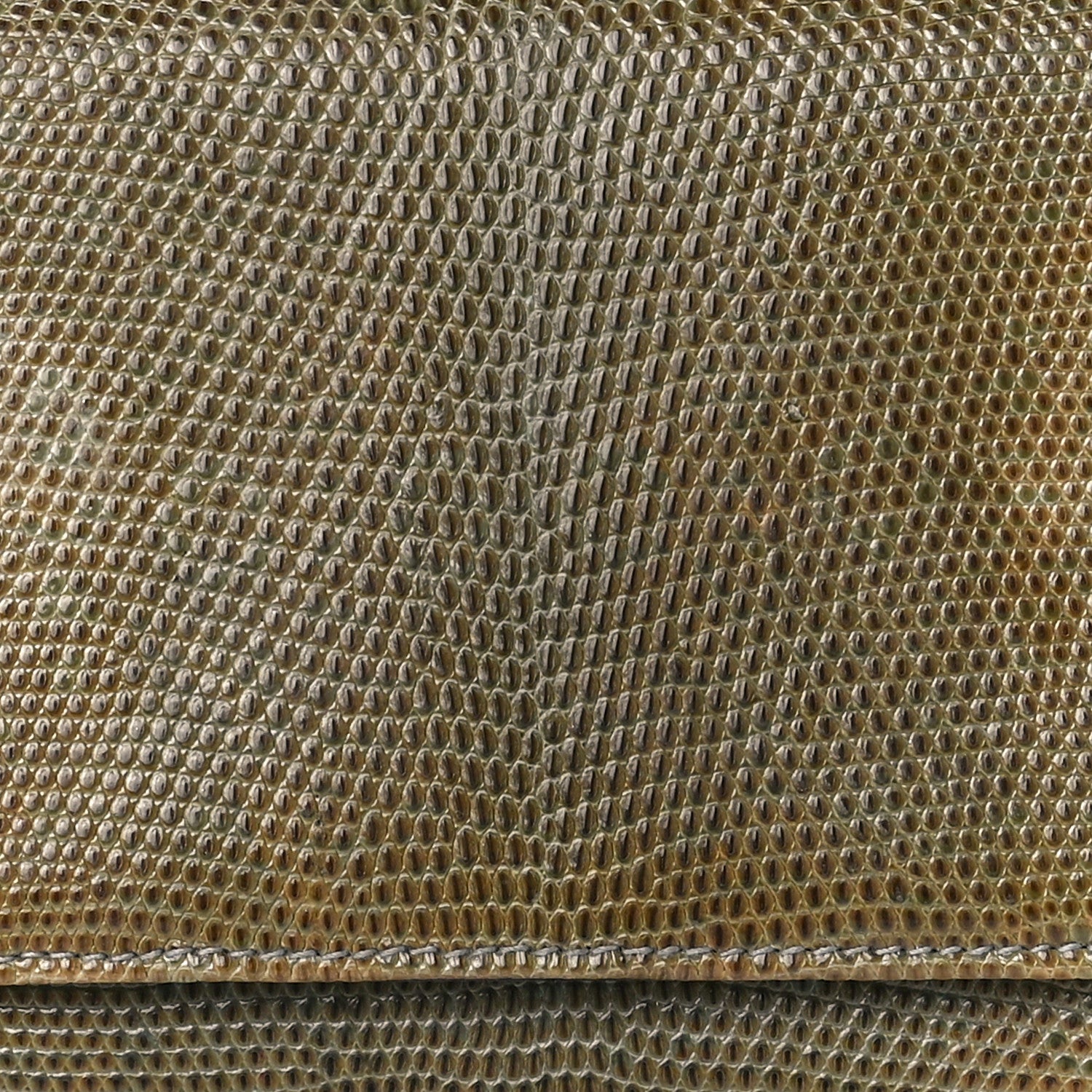 Prada Lizard Continental Wallet Multicolor 8 of 13
