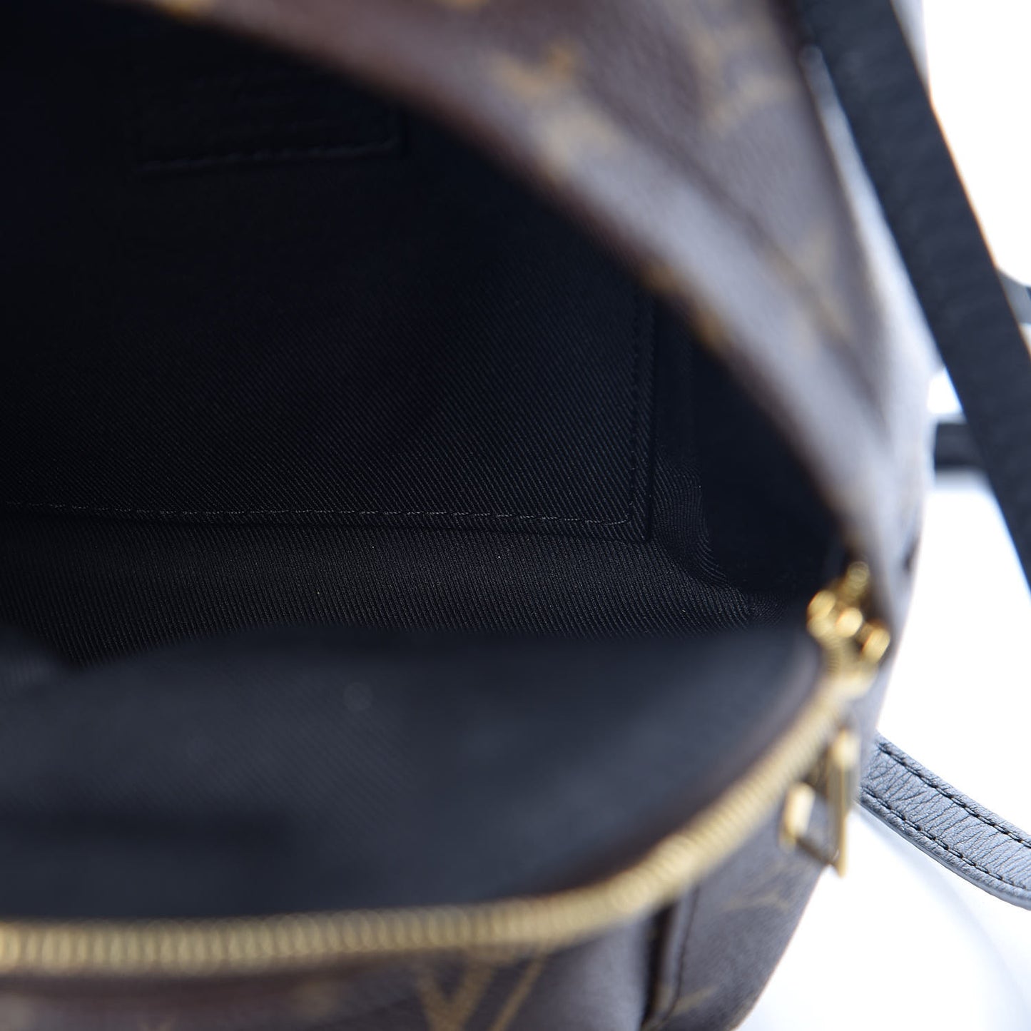 Monogram Palm Springs Backpack Mini
