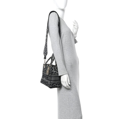 Christian Dior Canvas Medium Mizza Embroidered Lady D-Lite Grey Grey 2 of 10