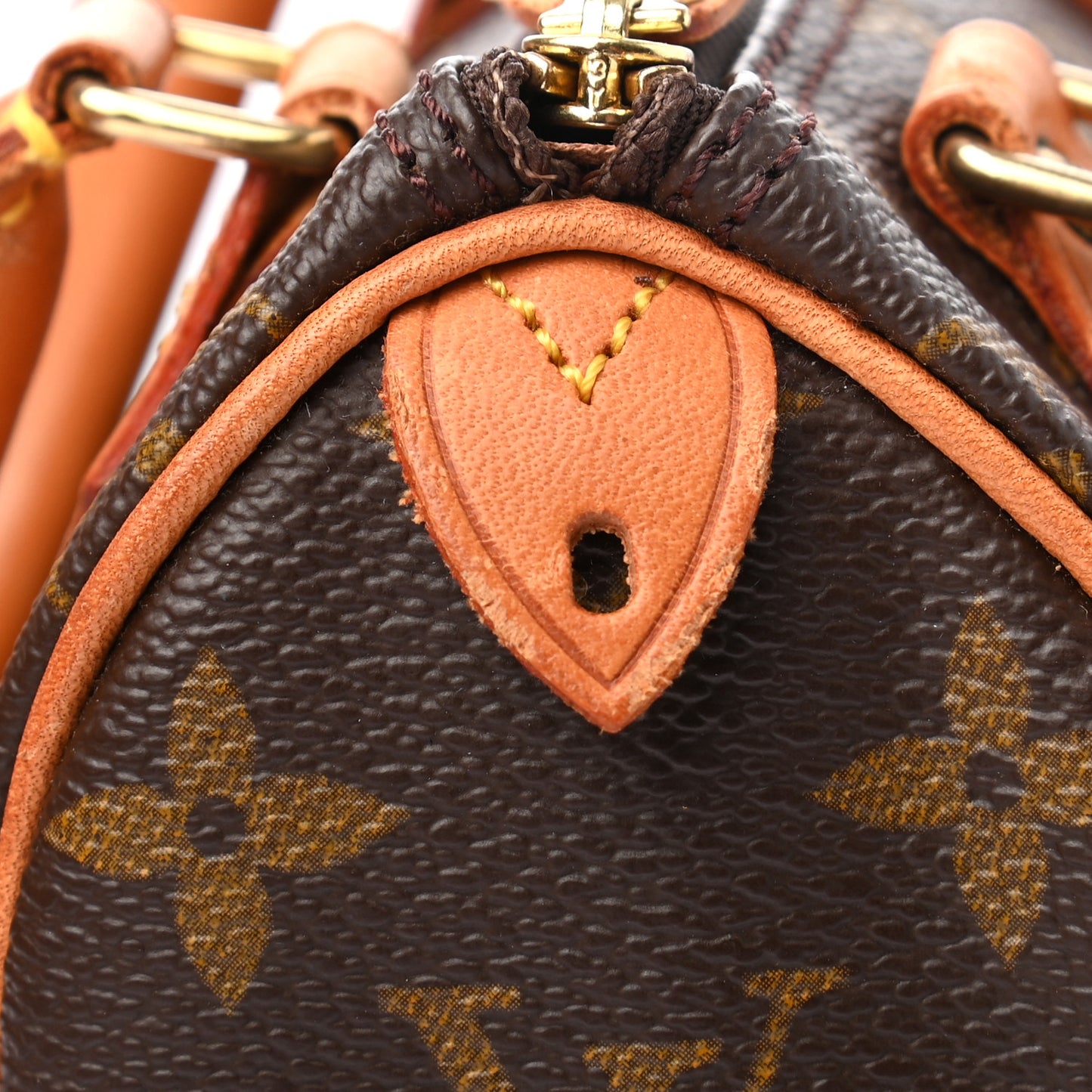 Monogram Mini Sac HL Speedy