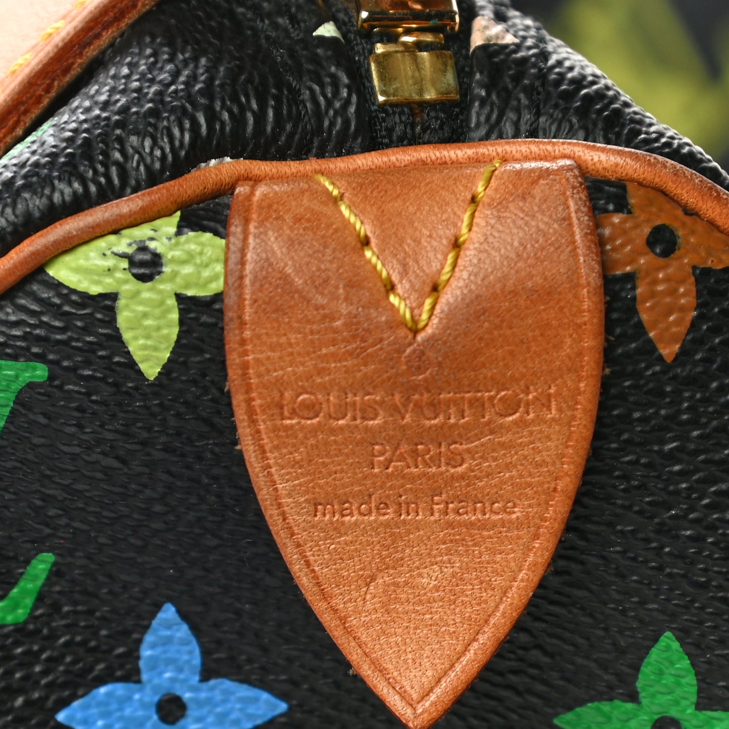 Monogram Multicolor Speedy 30 Black