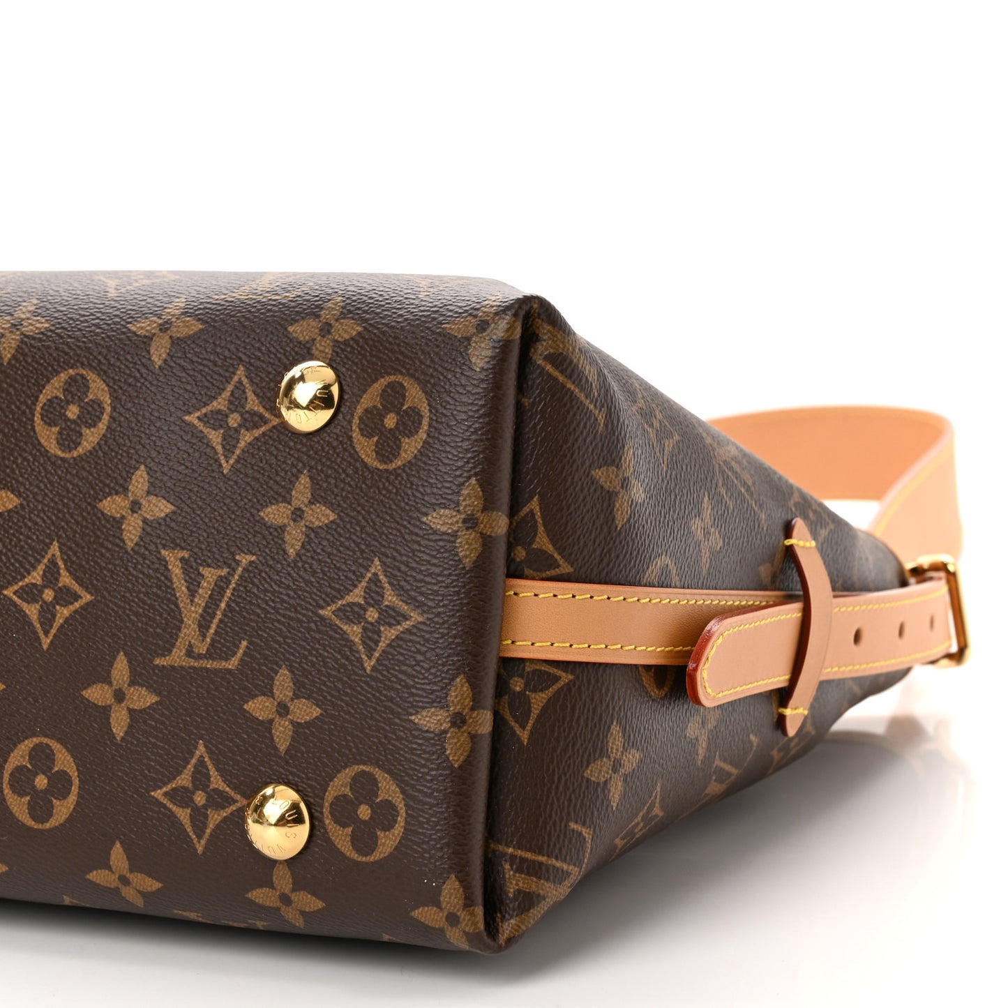 Monogram CarryAll PM