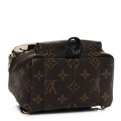 Louis Vuitton Monogram Palm Springs Backpack Mini 4 of 13