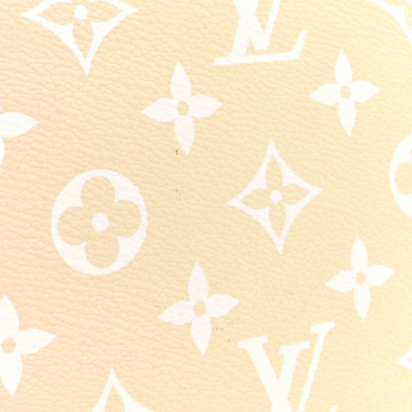 Monogram Giant Spring In The City Neverfull MM Sunset Kaki