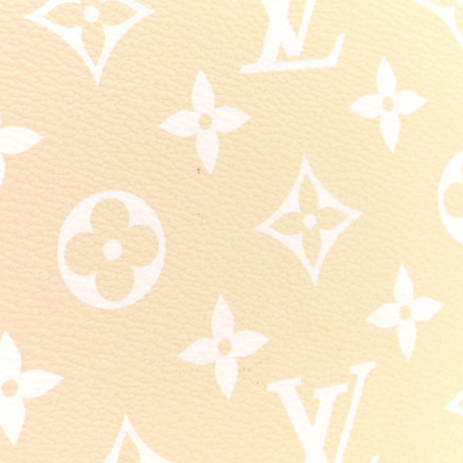 Louis Vuitton Monogram Giant Spring In The City Neverfull MM Sunset Kaki 11 of 11