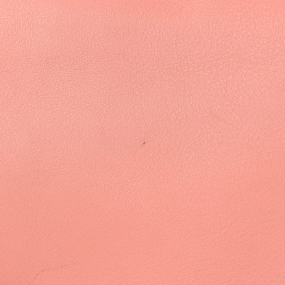 Fendi Vitello Flamingo Tube Macro Clutch Pesca 12 of 14