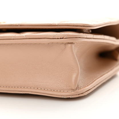 Chanel Calfskin Quilted Perfect Fit Wallet On Chain WOC Beige 11 of 11