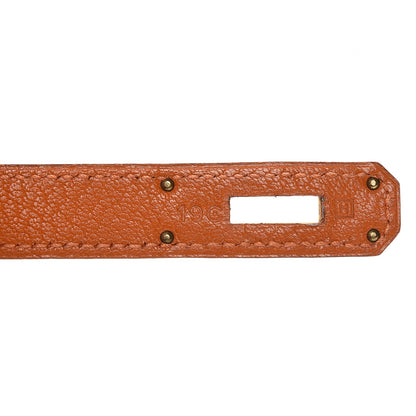 Hermes Chevre de Coromandel Birkin 30 Potiron 10 of 26