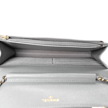 Chanel Caviar Quilted Wallet On Chain WOC Grey 8 of 14