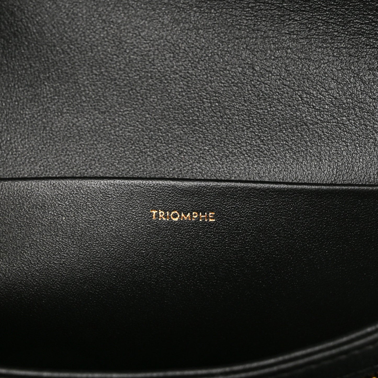 Shiny Calfskin Medium Triomphe Black