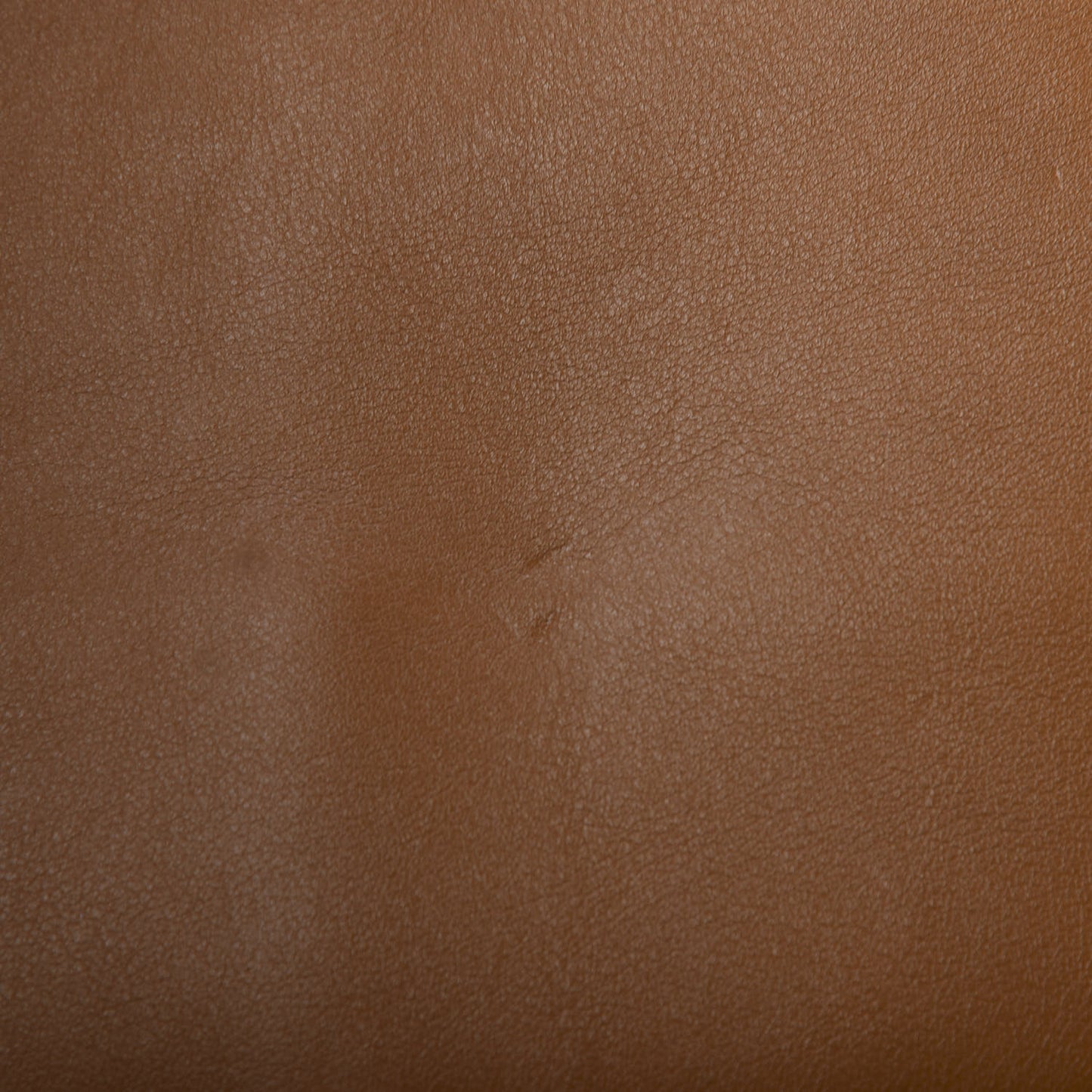 Suede Calfskin Medium Faye Shoulder Bag Mustard Brown