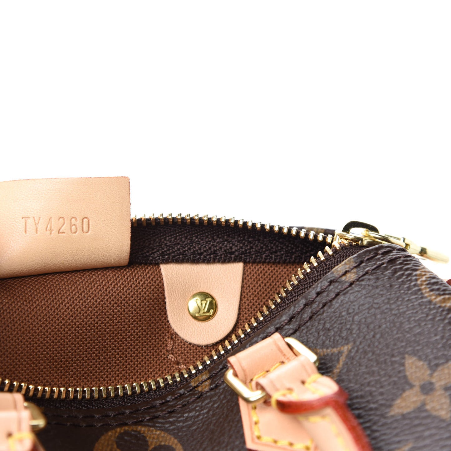 Monogram Nano Speedy
