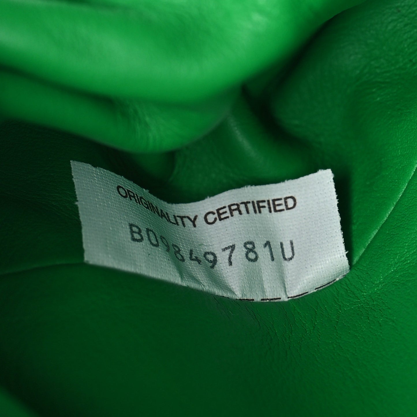 Butter Calfskin The Mini Pouch Parakeet