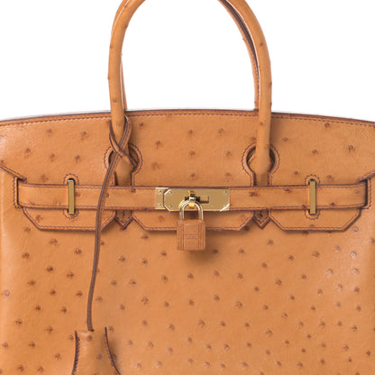 Hermes Ostrich Birkin 30 Gold 8 of 15