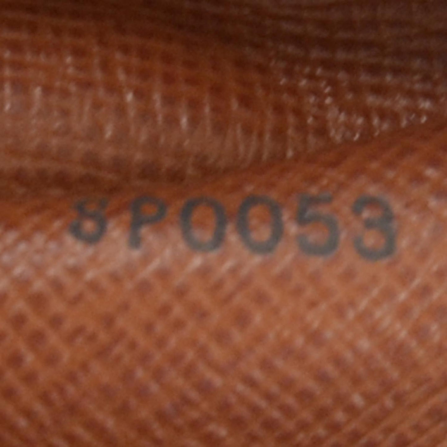 Monogram Papillon 30