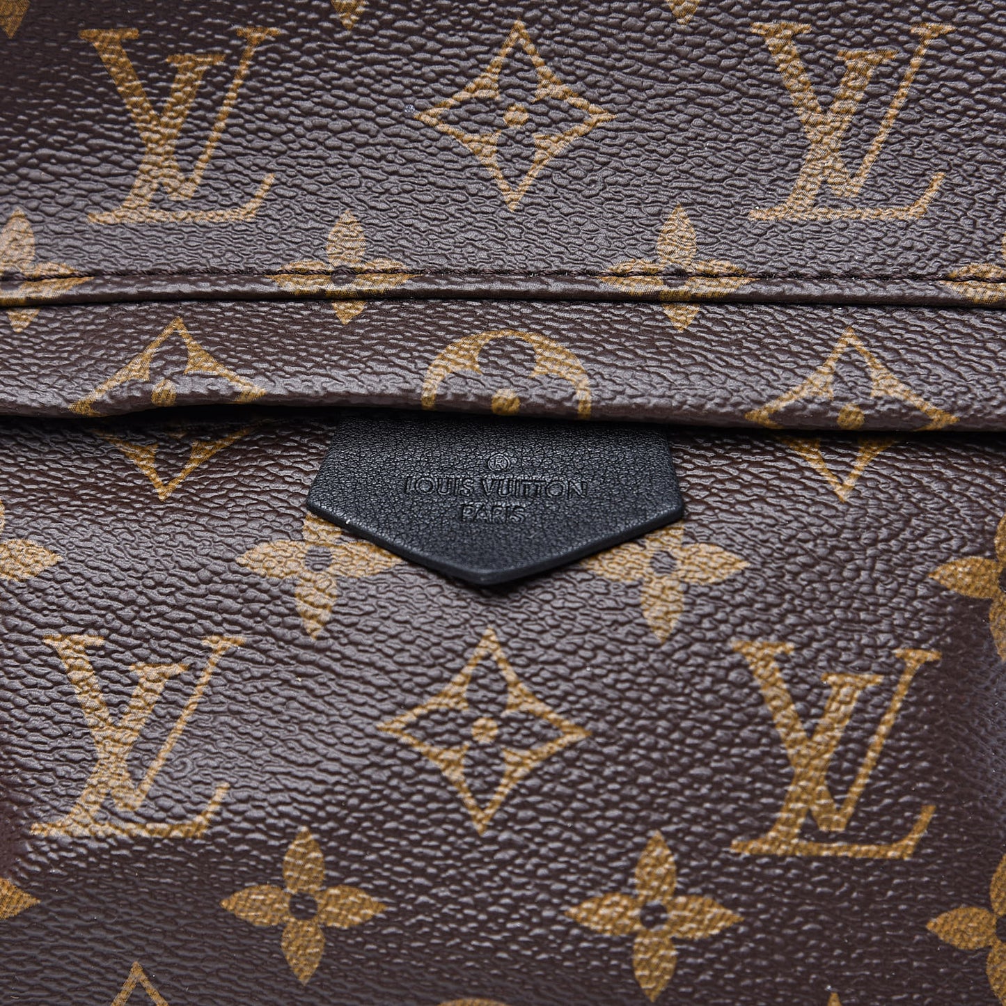 Monogram Palm Springs Backpack PM