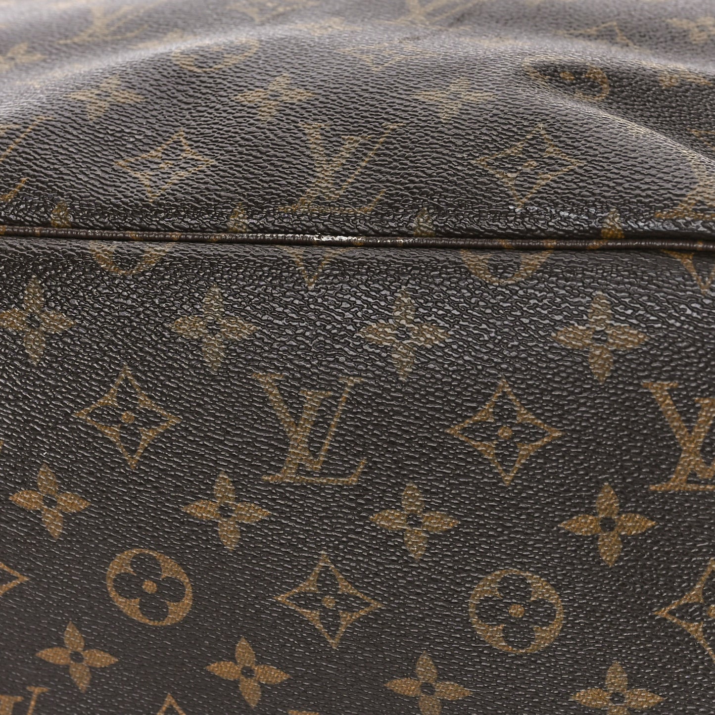 Monogram Neo Neverfull MM