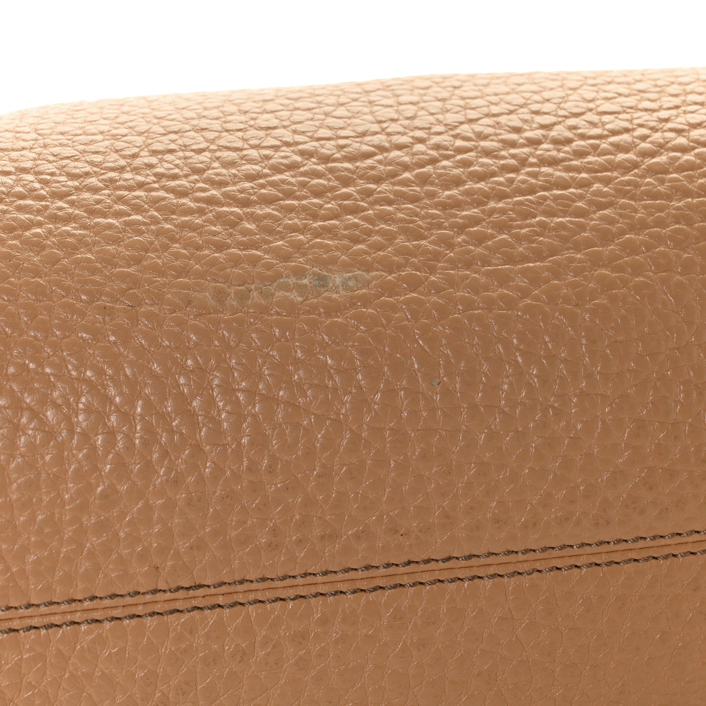 Pebbled Calfskin Small Chameleon Tote Beige