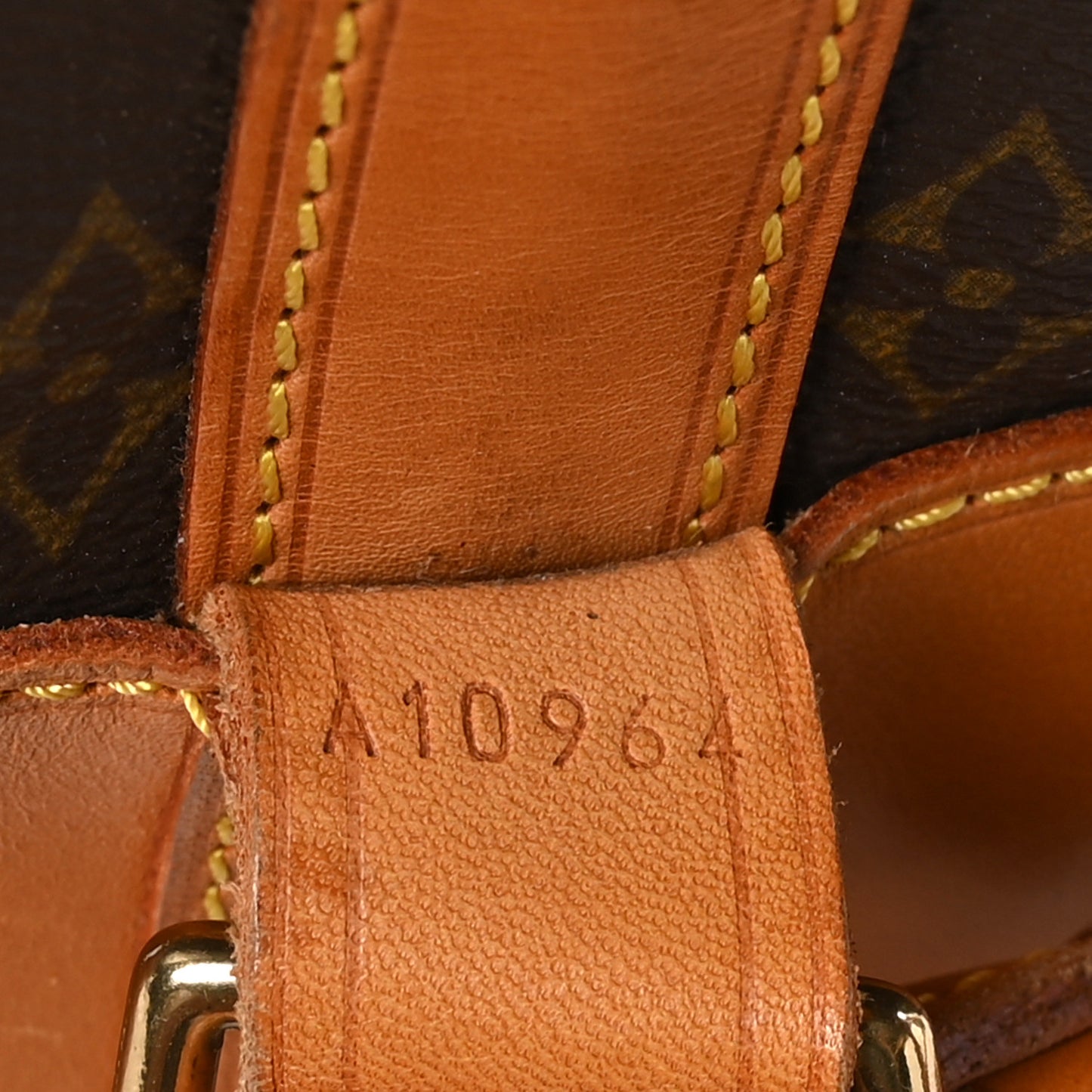 Monogram Randonnee GM Backpack