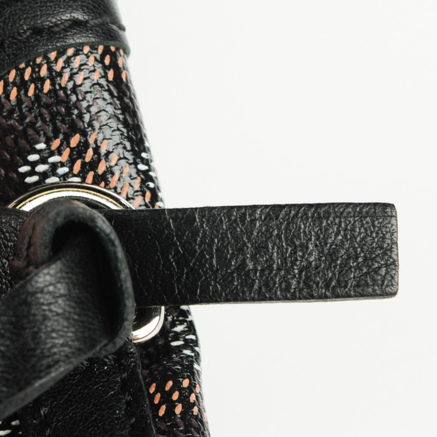 Goyard Goyardine Saint Louis PM Black 8 of 8