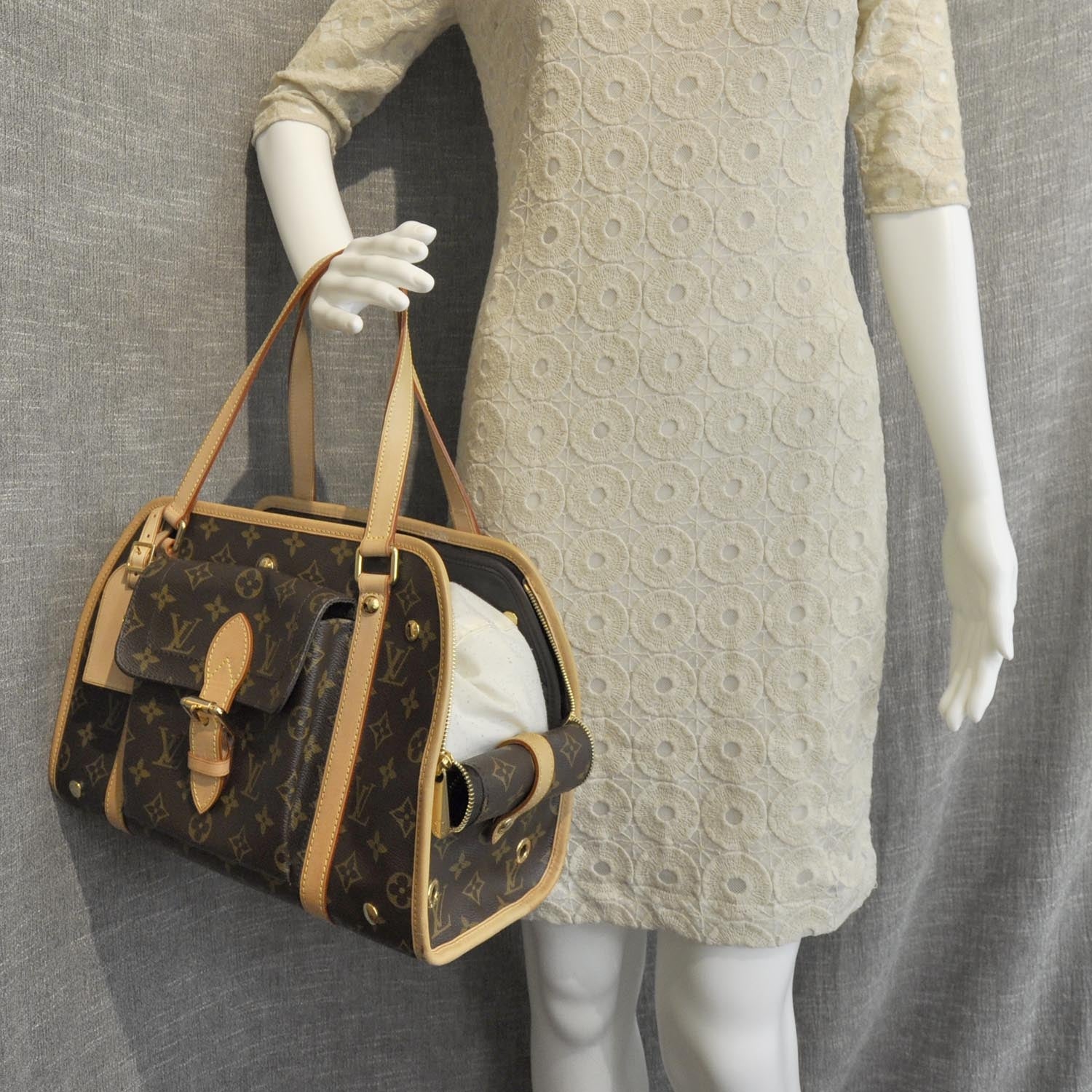 Louis Vuitton Monogram Baxter PM Dog Pet Carrier 3 of 8