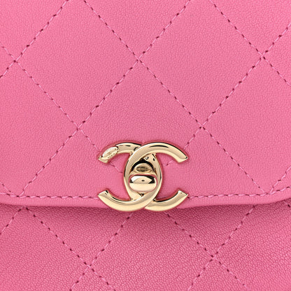 Chanel Goatskin Stitched Casual Trip Messenger Flap Pink 8 of 11