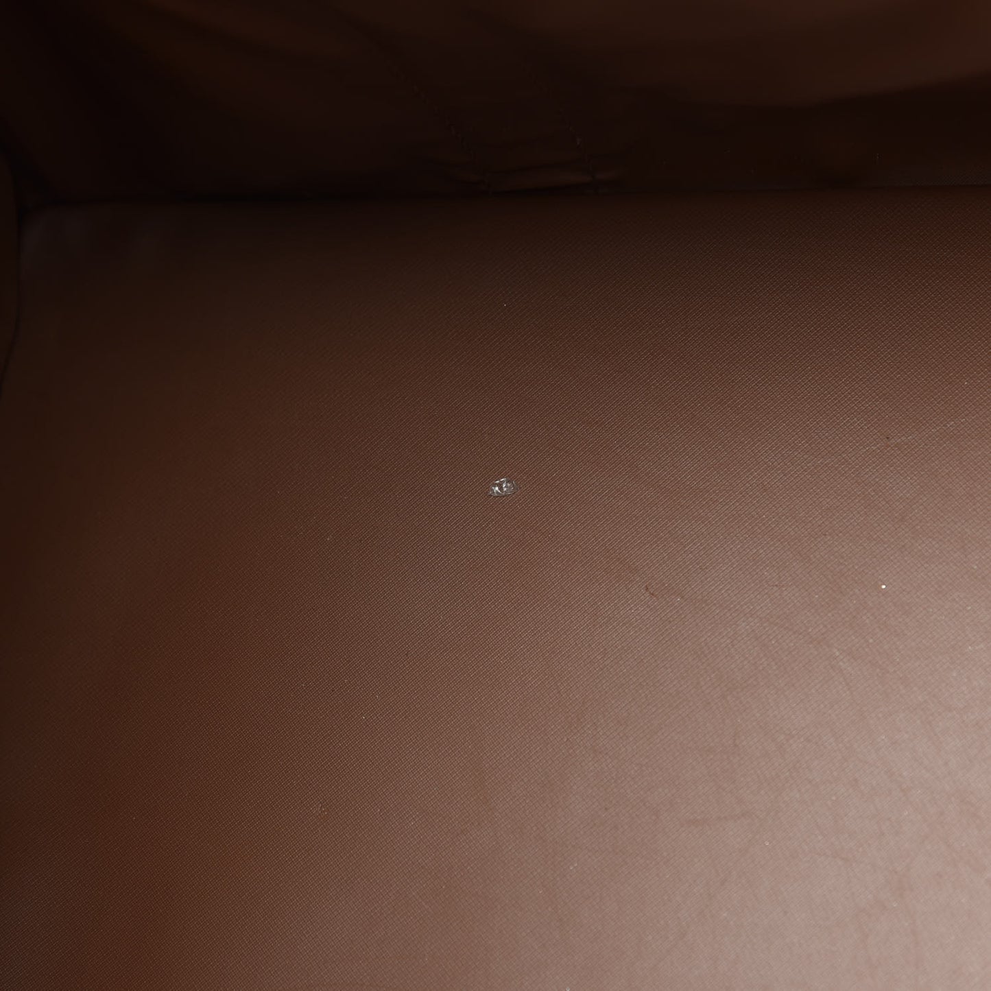 Monogram Sac Chien 40 Pet Carrier