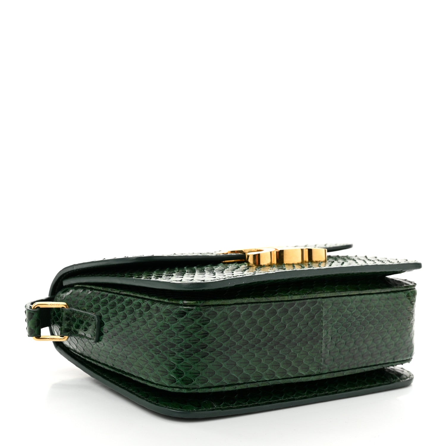 Celine Watersnake Teen Triomphe Green 1708060 – FASHIONPHILE