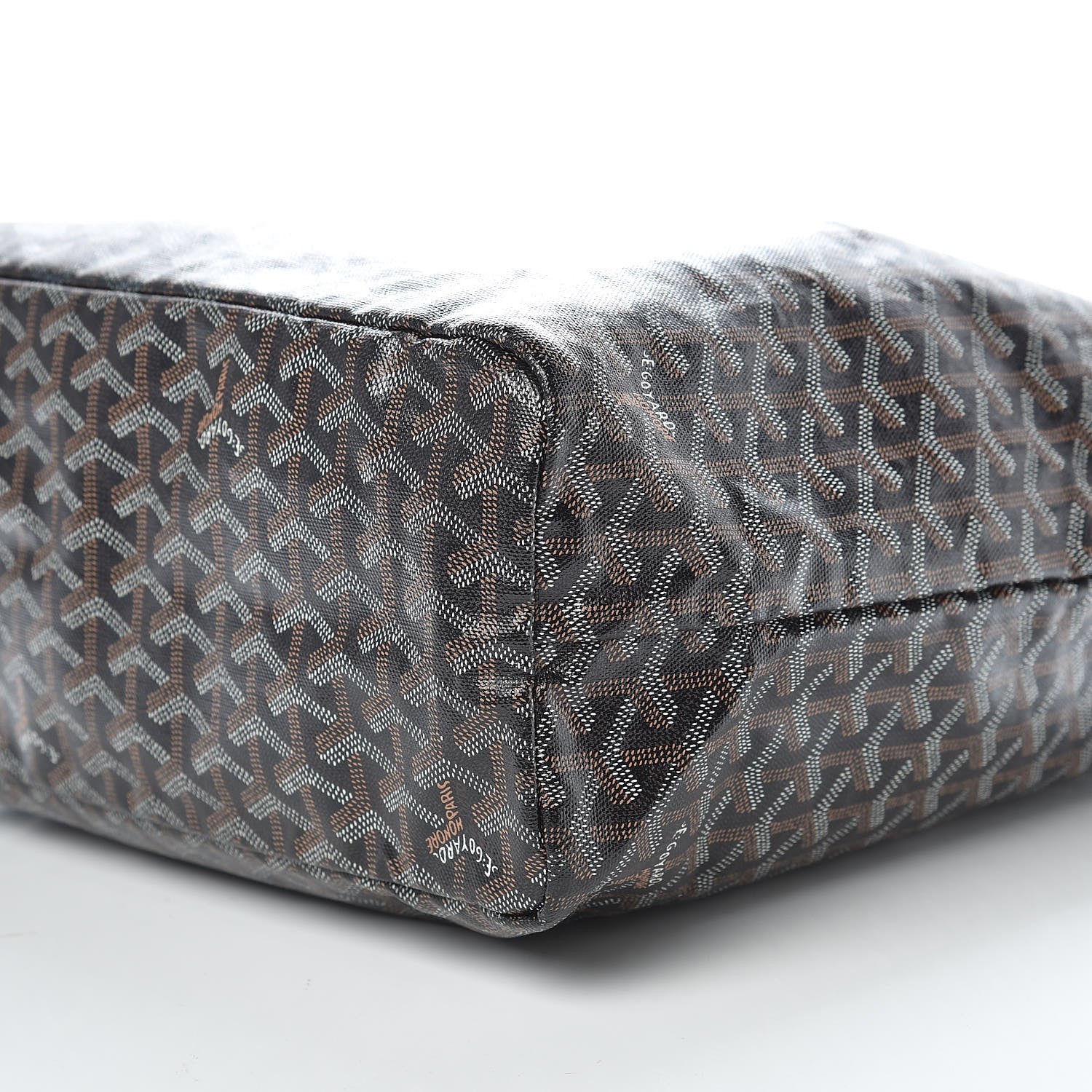 Goyard Goyardine Saint Louis PM Black 10 of 10