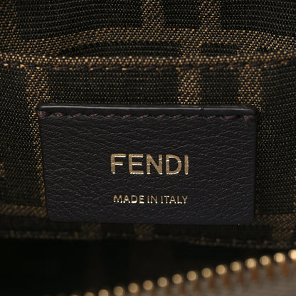 Fendi Vitello King Plexiglass Logo Embossed Mini By The Way Top Handle Boston Bag Tortora 5 of 6
