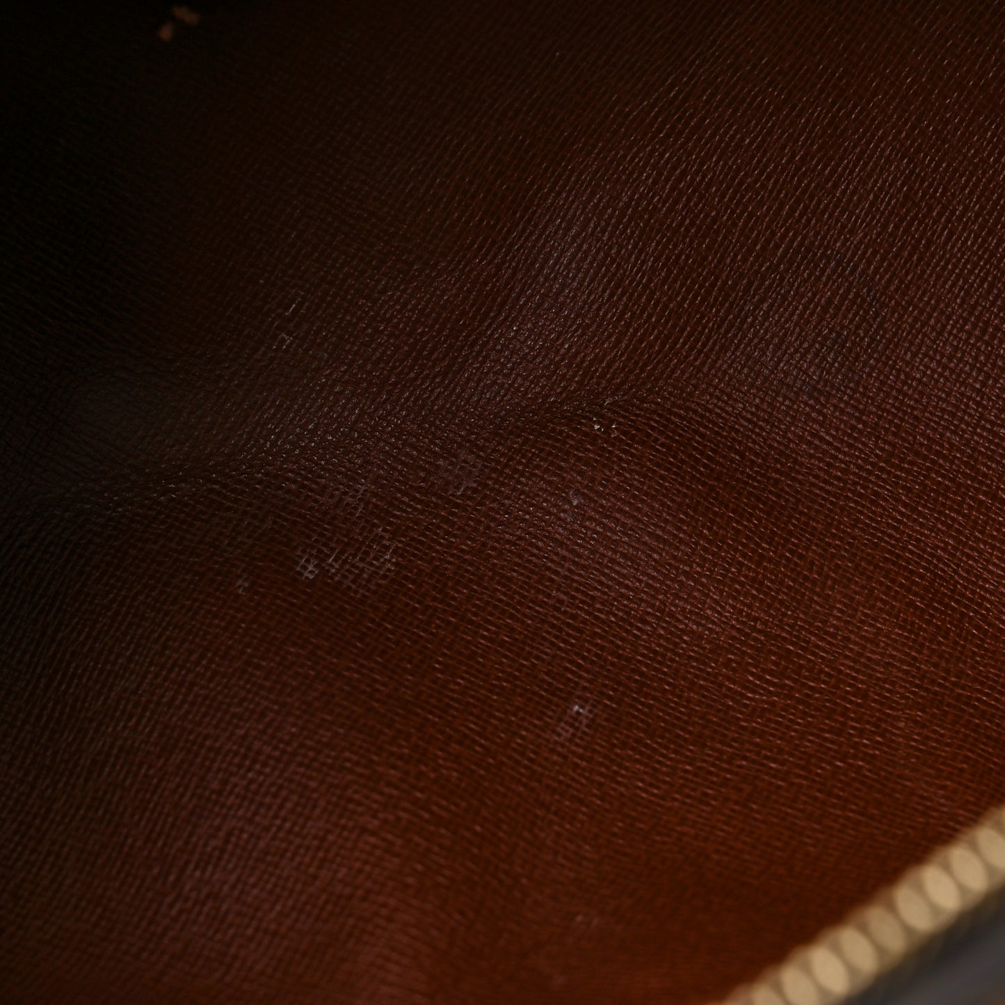 Monogram Papillon 30 with Companion