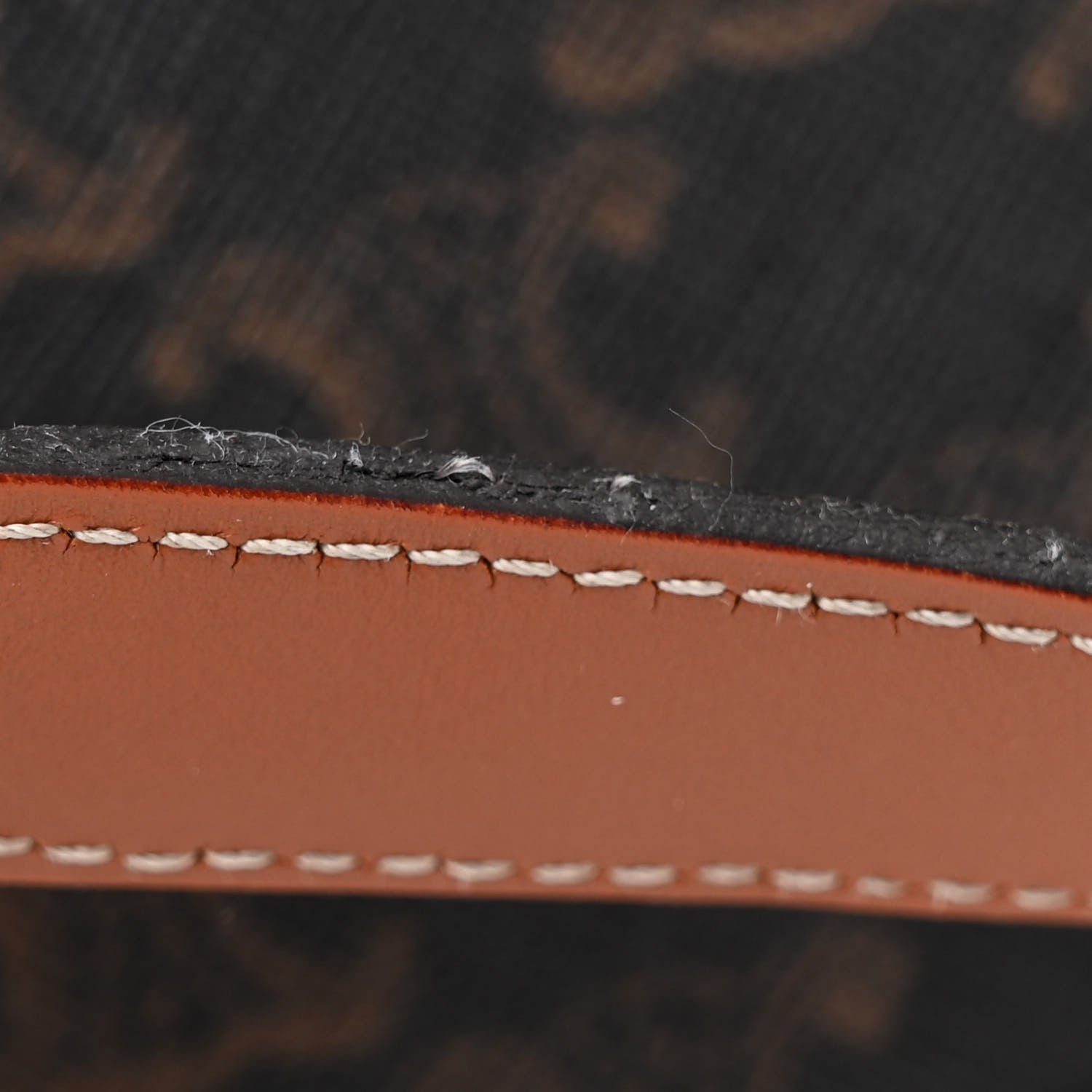 Celine Triomphe Canvas Calfskin Medium Bucket Bag Tan 19 of 20