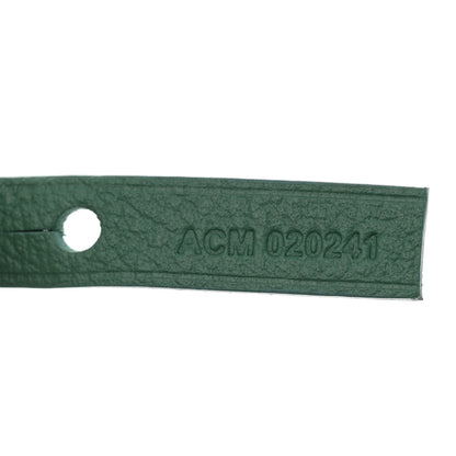 Goyard Goyardine Saint Louis PM Green 7 of 11