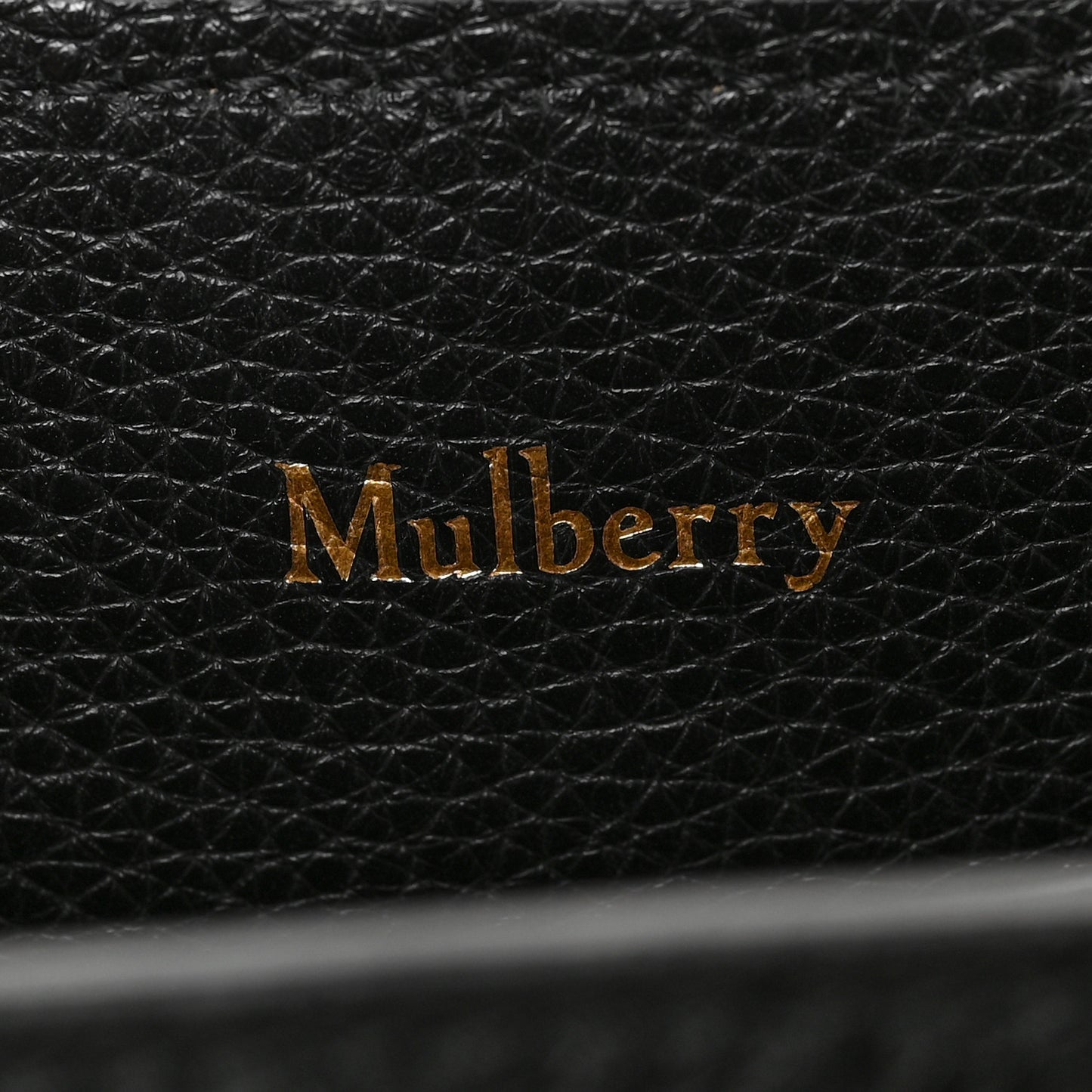 Small Classic Grain Calfskin Mini Seaton Black