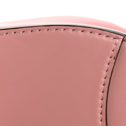 Christian Dior Supple Calfskin Mini Saddle Bag With Strap Old Rose 13 of 13