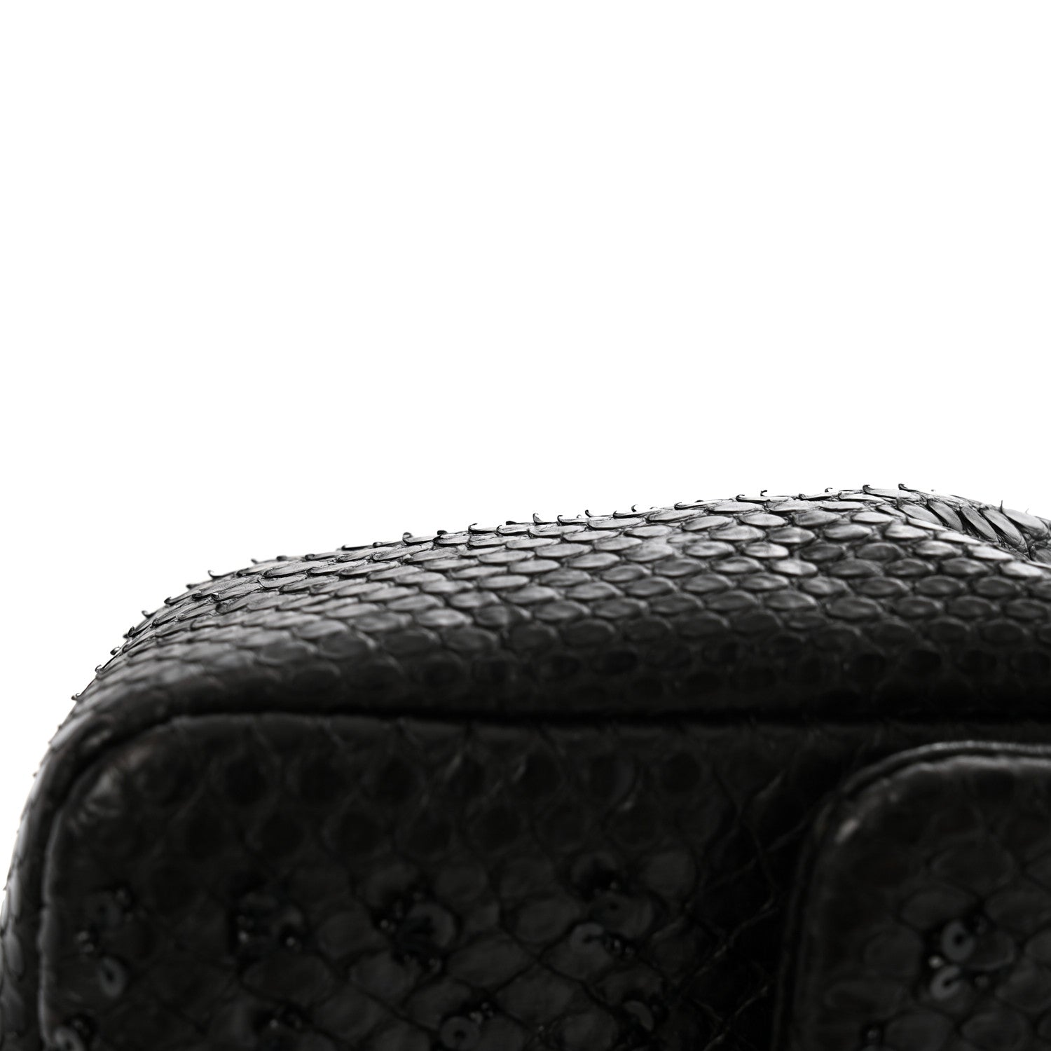 Chanel Metallic Snakeskin Sequin Flap Black 14 of 14