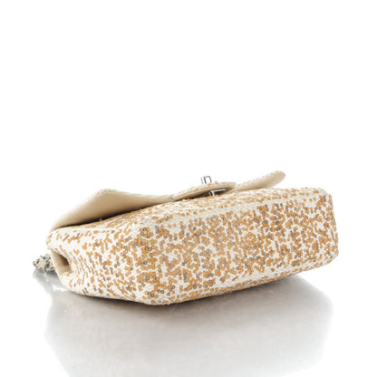 Chanel Raffia Sequin Small Single Flap Beige Gold 4 of 9
