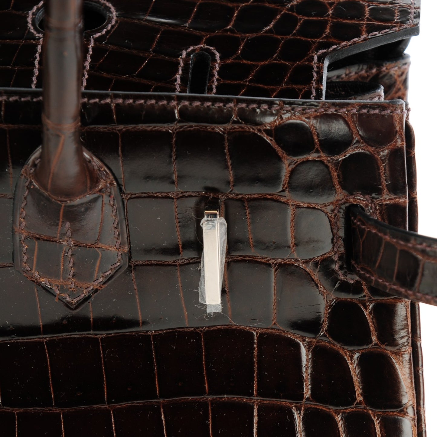 Shiny Niloticus Crocodile Birkin 30 Havane