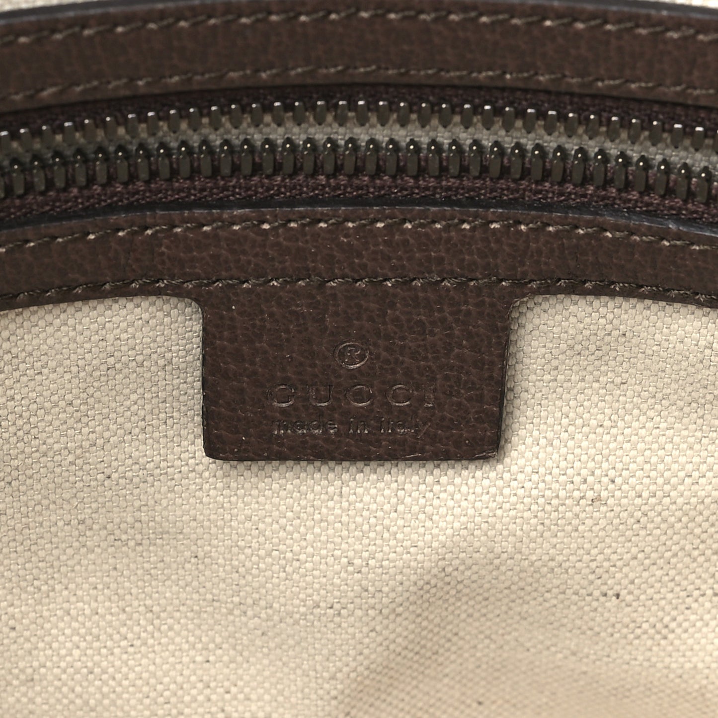 GG Supreme Monogram Web Small Ophidia Half Moon Hobo Brown