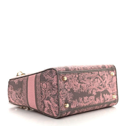Christian Dior Canvas Toile De Jouy Embroidered Medium Lady D-Lite Gray Pink 4 of 13