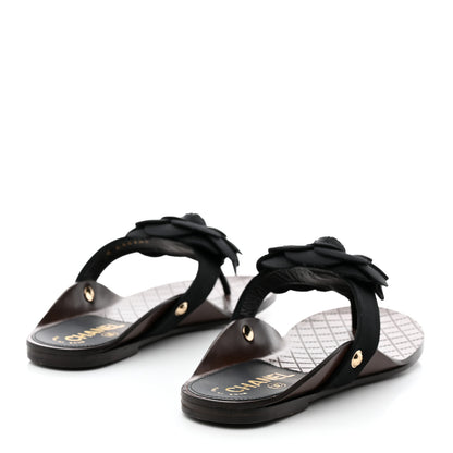Chanel Grosgrain Camellia Thong Sandals 35 Black 4 of 8